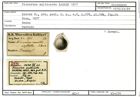 Karteikarte zum Holotyp von Fissurina multicosta Karrer, 1877